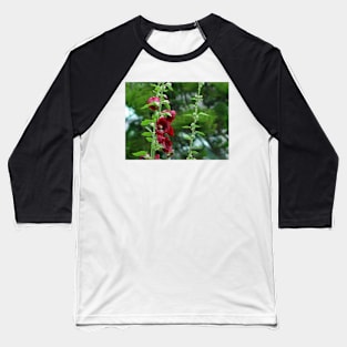 Red Hollyhocks Baseball T-Shirt